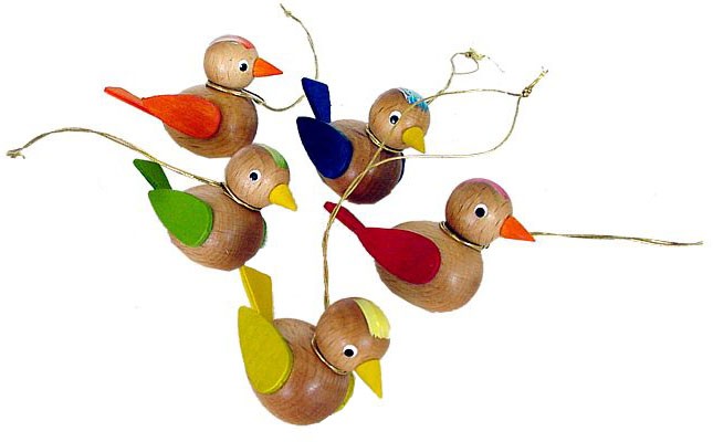 Vögel, natur Vögel, natur