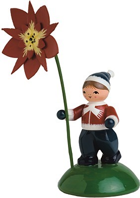 Blumenkind Junge mit Weihnachtstern Blumenkind Junge mit Weihnachtstern