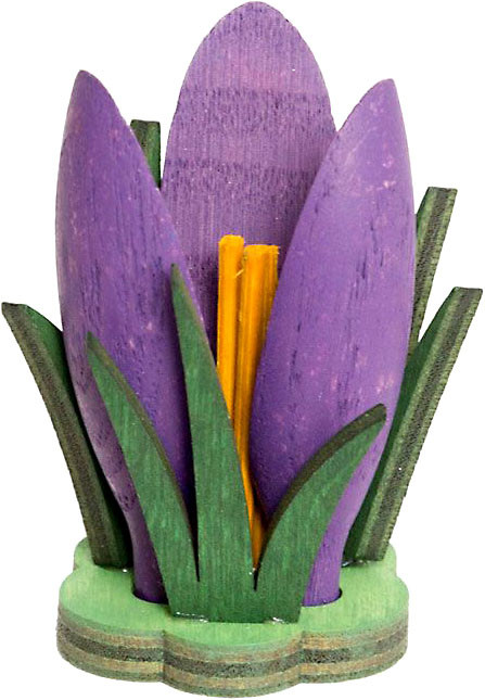 Krokus, lila Krokus, lila