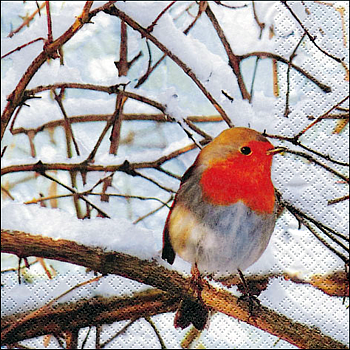 Servietten, Robin in a winter Tree 