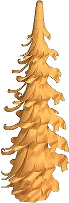 Spiralbaum - 15 cm