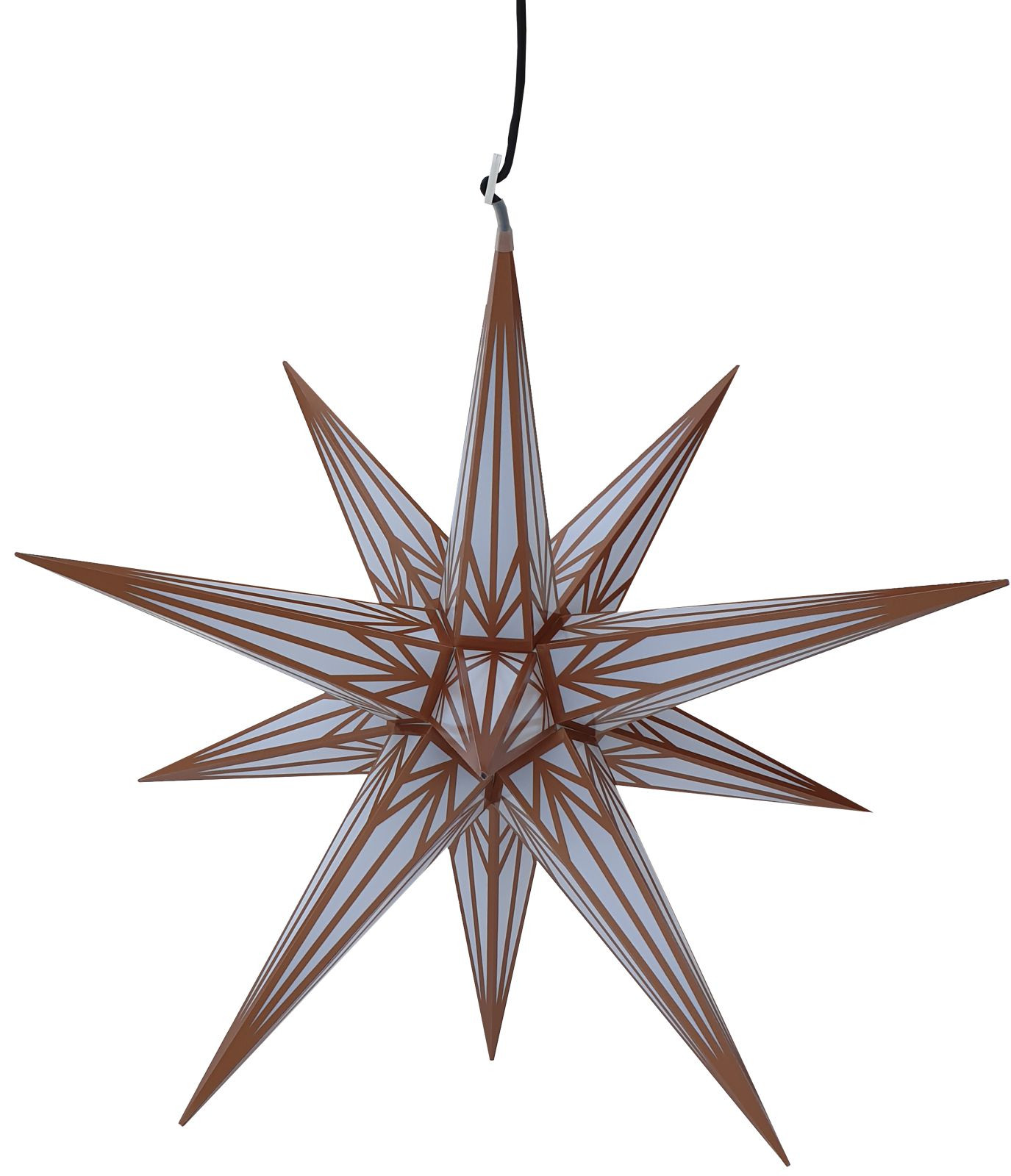 kunst zimmerpflanzen Kunst trifft Pflanze. Zimmerpflanzen als moderne Farb-Portraits (CALVE —  calvendoverlag main image 1