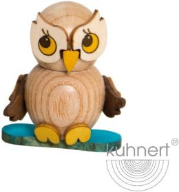 Eulenkind mit Snowboard