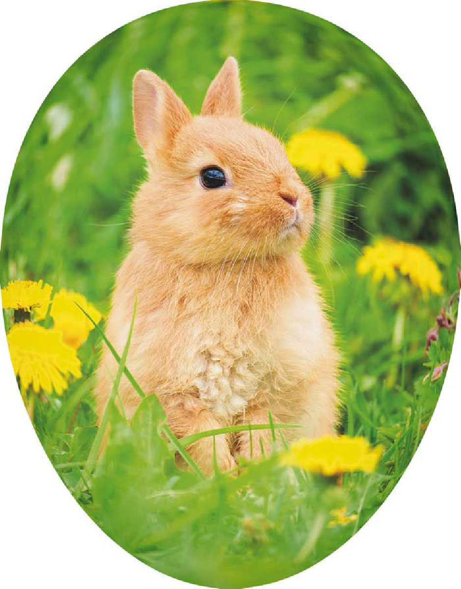 Osterei Tierkinder - Hase, 12 cm