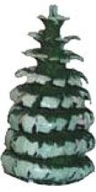 Ringelbaum ohne Stamm - grün/weiß, 2er-Set - 1 cm