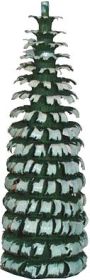 Ringelbaum ohne Stamm - grün/weiß, 2er-Set - 7 cm
