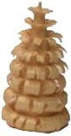 Ringelbaum ohne Stamm - natur, 2er-Set - 1 cm