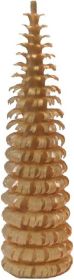 Ringelbaum ohne Stamm - natur, 2er-Set - 10 cm