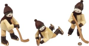 Eishockeyspieler - natur