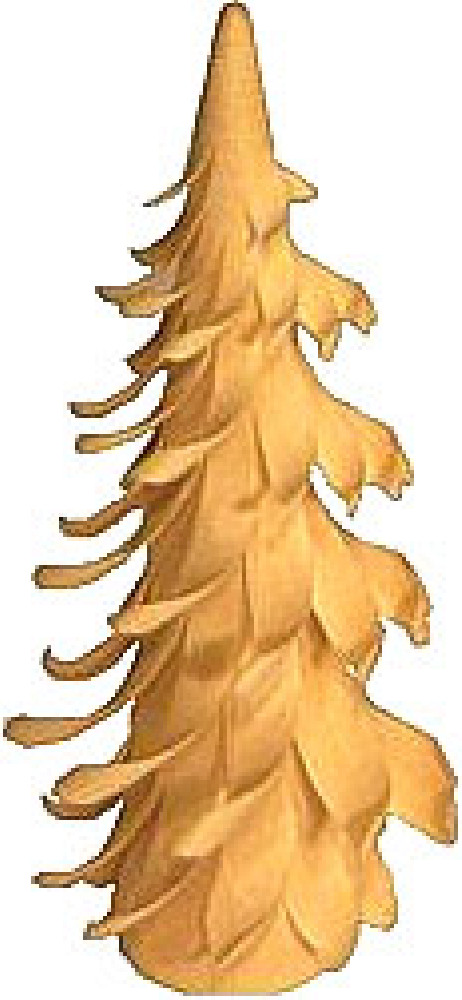 Spiralbaum - 9 cm