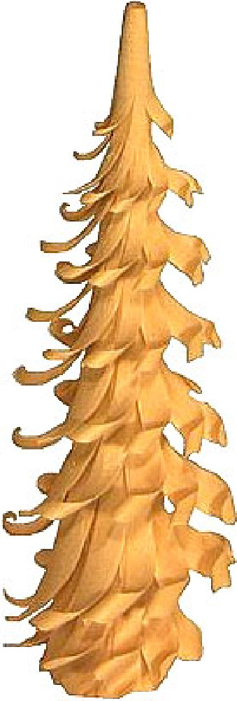 Spiralbaum - 13 cm