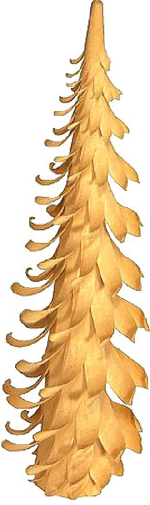 Spiralbaum - 17 cm
