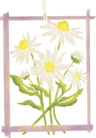 Fensterbild Margerite